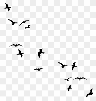 Transparent Flying Bird Clipart - Simple Birds Flying Silhouette - Png Download