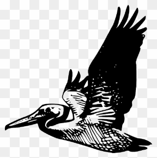 Animals, Silhouette, Cartoon, Birds, Bird, Flying - Flying Pelican Clip Art - Png Download