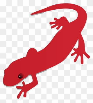 Salamander Clipart - Png Download