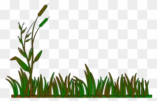 Cattails Outline Green/brown Png Icons - Grass Border Clip Art Transparent Png