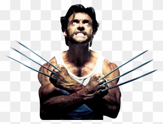 Drawing Movie Logan Transparent & Png Clipart Free - Wolverine Png