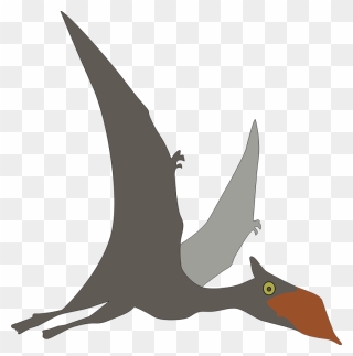 Sinopterus - Flying Dinosaurs Clipart - Png Download