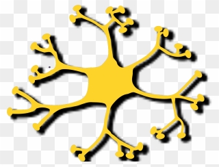 Nerve Cell Clipart - Png Download
