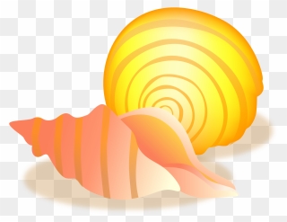 Conch Sea Snail Seashell - Conch Clipart