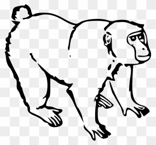 Clipart Monkey Black And White - Monkey Clipart Black And White - Png Download