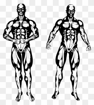 White Muscle Man Png - Illustration Clipart