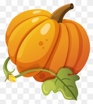 Pumpkin - ฟักทอง Png Clipart