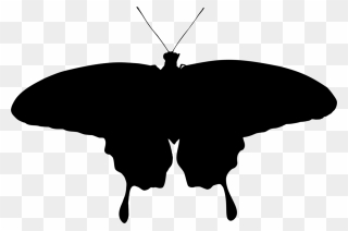 Butterfly Silhouette Monochrome Photography - Transparent Moth Silhouette Clipart