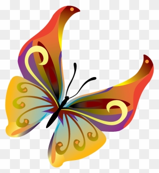 Butterflies Vector Png Transparent Image - Butterfly Vector Free Png Transparent Background Clipart