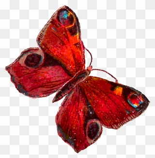 Red Butterfly With Transparent Clipart