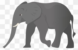 Elephant Clipart