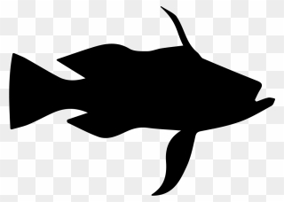 Longtail Bass Fish Shape - Scalable Vector Graphics Clipart