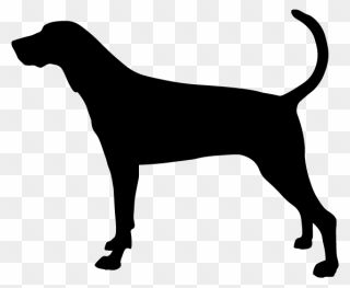 Treeing Walker Coonhound Redbone Coonhound Bluetick - Dog Beginning With X Clipart