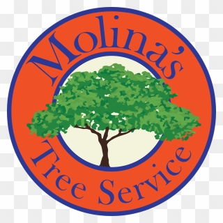 Molina"s Tree Service And Landscaping Logo Clipart