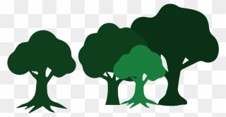 Wildcat Creek Tree Services Has The Skills To Assist - Wildcat Creek Tree Service Clipart