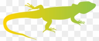 Green Iguana Clipart