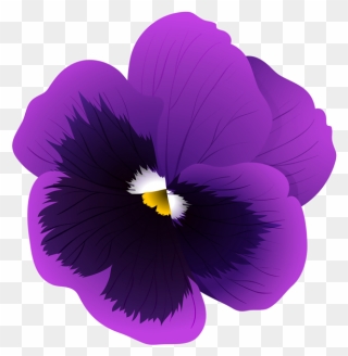 Violet Flower Transparent Png Clip Art Image - Violet Flower Transparent Background