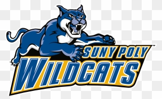 #basketball #suny #wildcats #poly #freetoedit - Suny Polytechnic Institute Wildcats Clipart