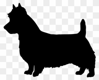 Pembroke Welsh Corgi Australian Terrier Bull Terrier - Corgi Silhouette Clip Art - Png Download