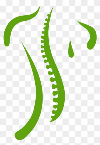Spine Logo Clipart