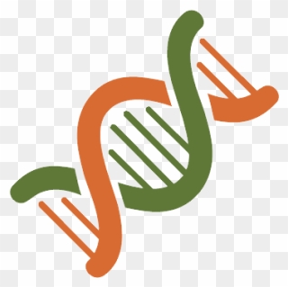 Dna Png - Portable Network Graphics Clipart