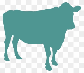 Angus Cattle Beef Cattle Livestock Clip Art - Cattle - Png Download