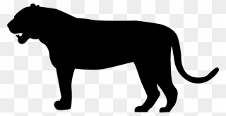 Paws Clipart Panther - Tiger Silhouette Png Transparent Png
