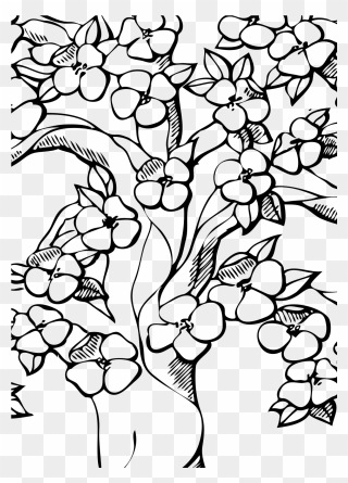 Outline Cherry Blossom Tree Drawing Clipart