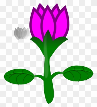 No Background Cartoon Flower Clipart