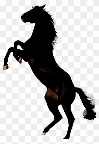 Clipart Brown Horse Png Image - Black Horse Png Transparent Png