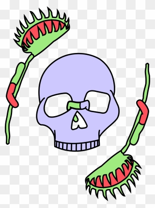 A Lavendar Skull Framed By Two Venus Fly Traps, All Clipart