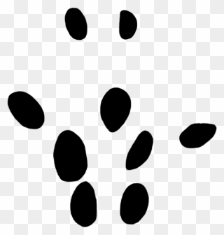 Field Vole Paw Print 10 Mm - Clip Art - Png Download