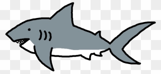 Shark Fin Outline - Cartoon Transparent Background Shark Clipart - Png Download