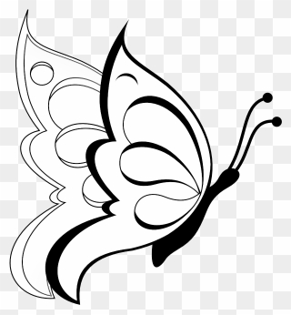 Black And White Butterfly Clipart - Png Download