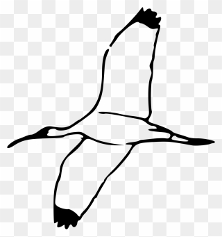 Bird Flying Clipart Black And White - Png Download