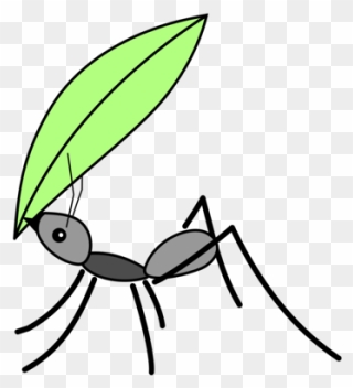 Fly,line Art,leaf - Drawing Ant Clipart