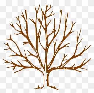 Clipart Tree Trunk - Png Download