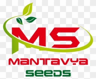 Mantavya Seeds - Private Limited Company Clipart