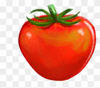 After Getting All The Graphic Elements Drawn And Approved, - Plum Tomato Clipart