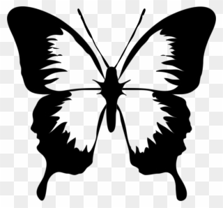 Butterfly Black And White Clip Art Black And White - Butterfly Clipart Black And White - Png Download