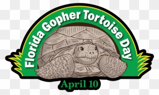 Gopher Tortoise Day - Florida Gopher Tortoise Day Clipart