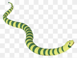 Anaconda Clipart Tail - Anaconda - Png Download