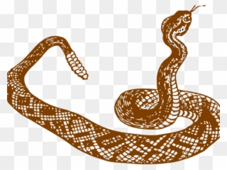 Serpiente Blanco Y Negro Clipart