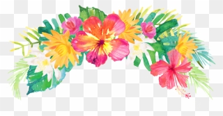 Headband Drawing Floral - Transparent Background Tropical Flowers Png Clipart