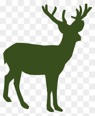 Transparent Rudolph Antlers Png - Transparent Deer Clipart