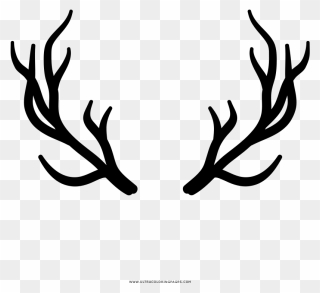 Deer Horns Png Clipart