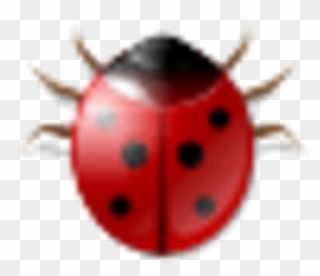 Ladybug Clipart