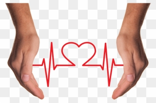Cupping Hands Heart Ekg - Estres En La Salud Clipart
