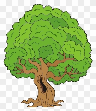 Old Big Tree Clipart - Png Download