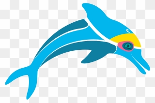 Transparent Dolphin Swimming Clipart - Coral Reef Fish - Png Download